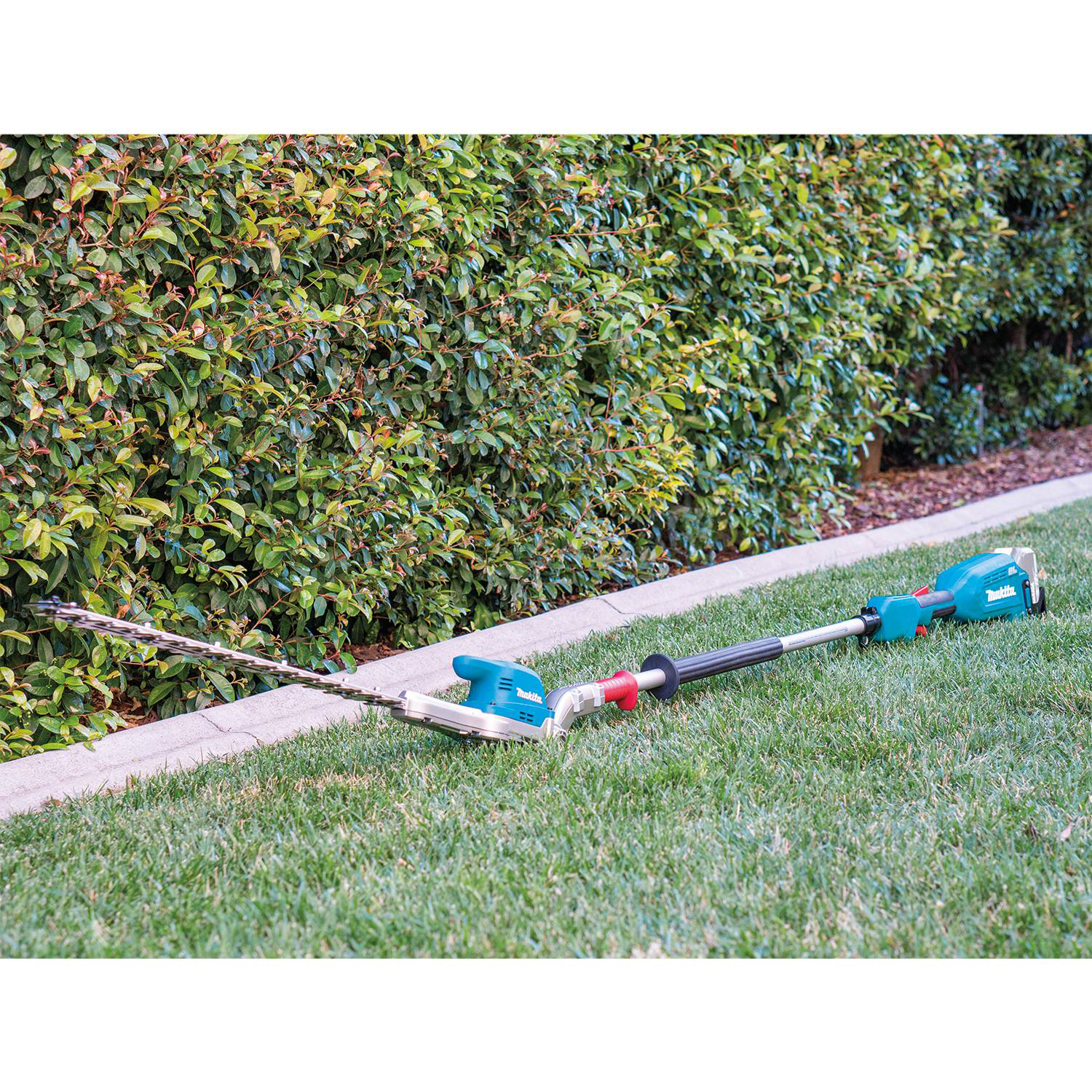 Makita pole discount hedge trimmer