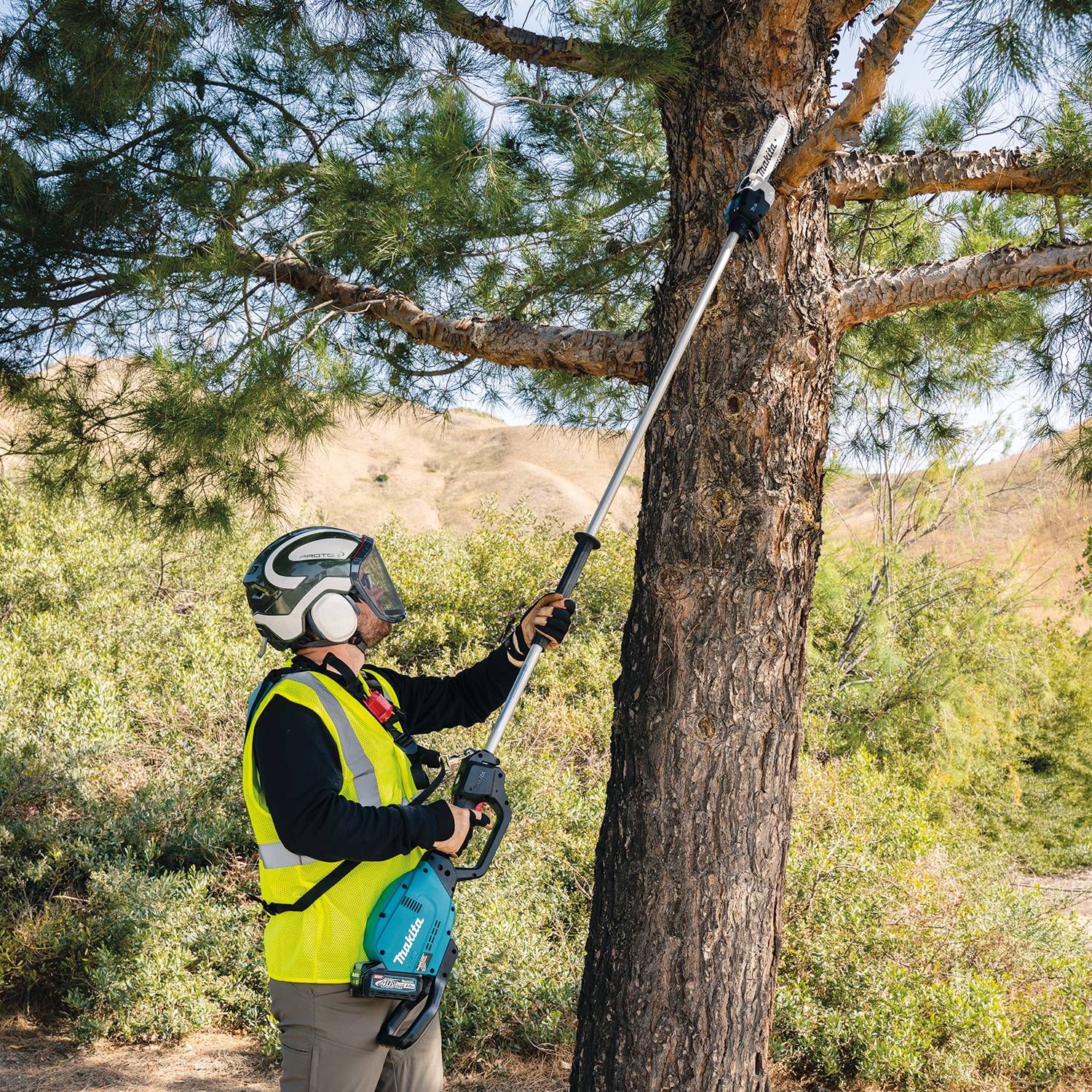 Makita cordless discount pole chainsaw