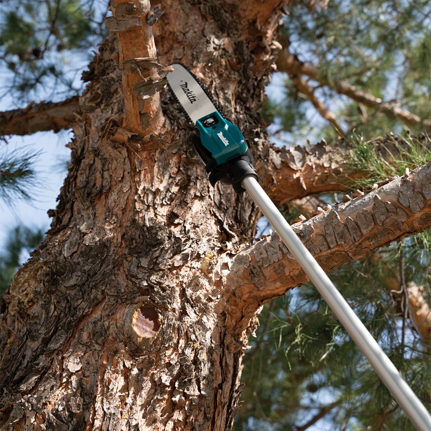 Pole Saws list