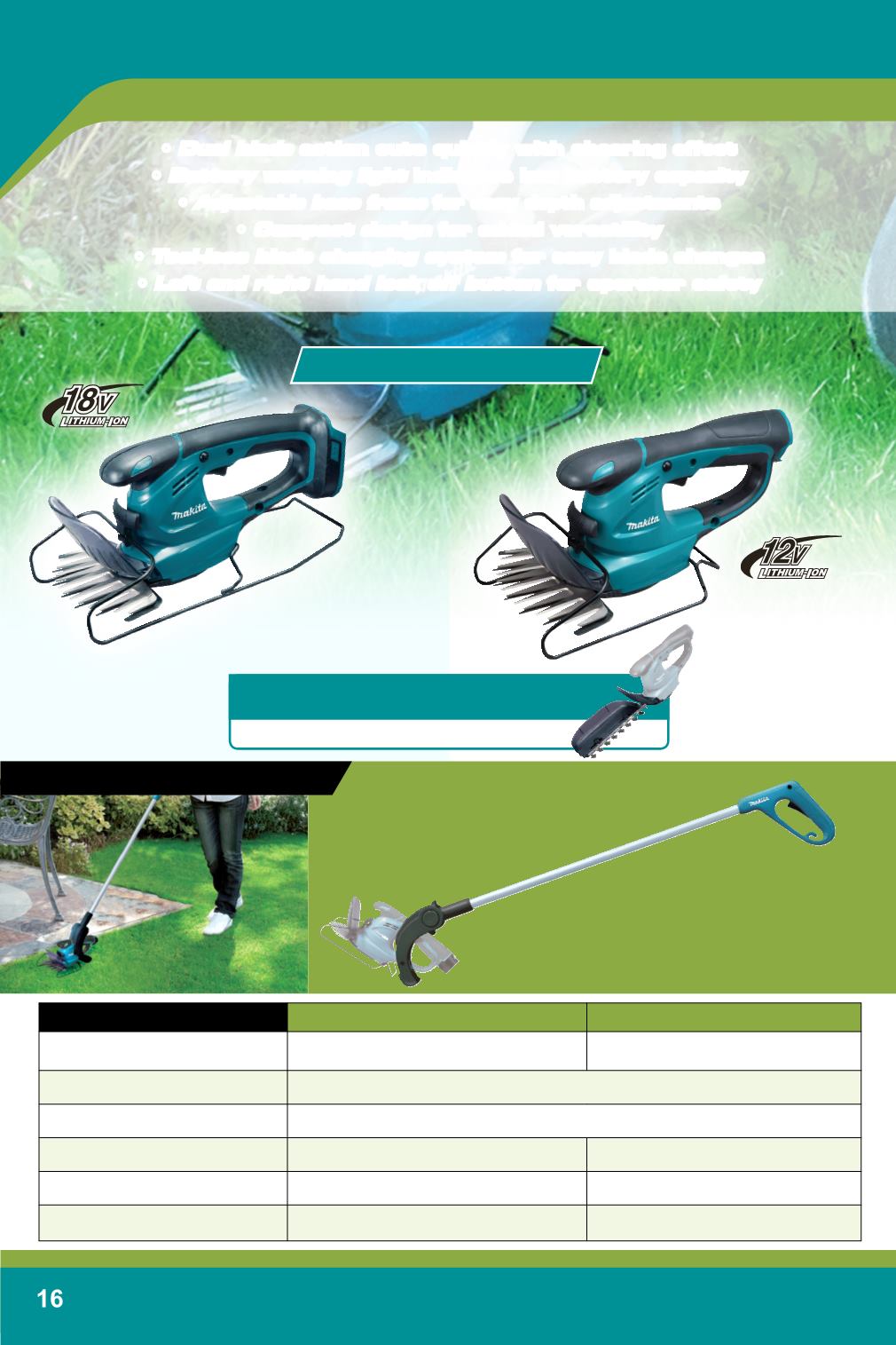 Page Background